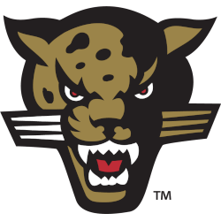 IUPUI Jaguars Alternate Logo 1998 - 2007